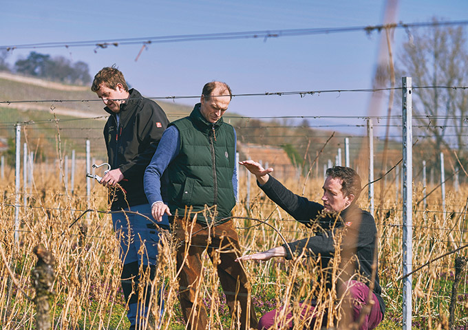 Vineyard-Manager-Martin-Walter-HRH-Donatus-Landgraf-von-Hessen-and-Dr