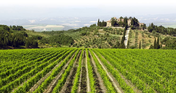 343Tenuta di Castiglioni